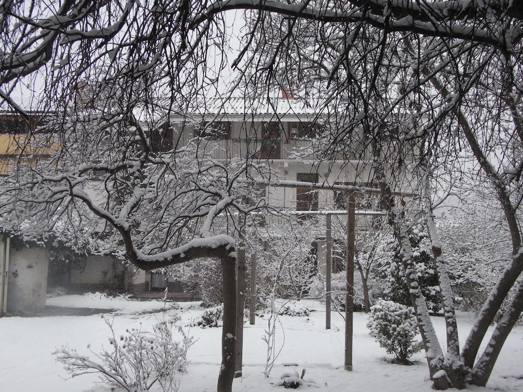 B&B Casa Passito Pavone Canavese Екстер'єр фото